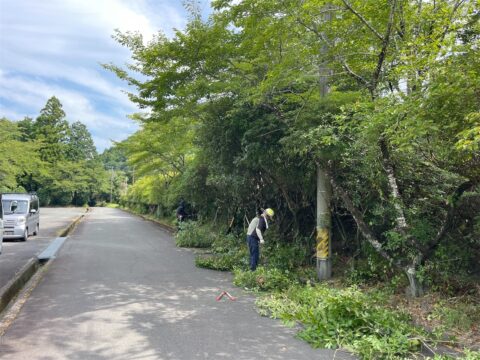 【地域活動】山村広場周辺で枝払いボランティアを実施しました