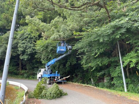 【地域活動】山村広場周辺で枝払いボランティアを実施しました