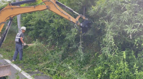 【公共事業】重機を活用した除草作業で地域の安全を守る